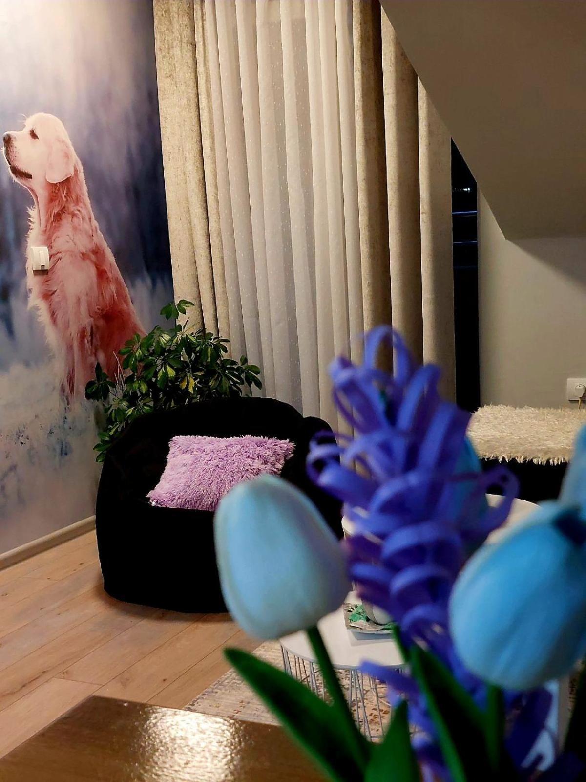 Apartman Marija Nova Varoš Exterior foto